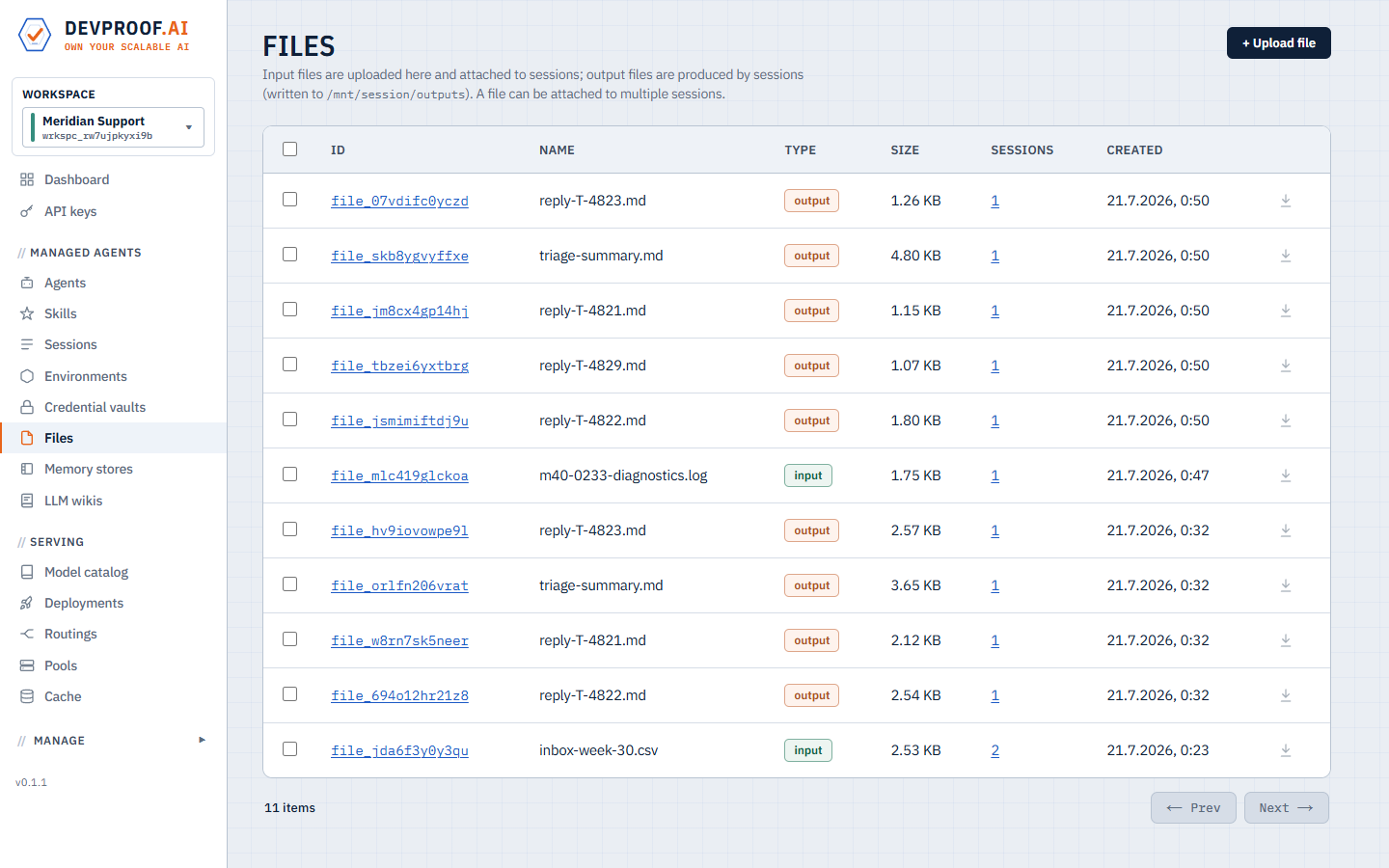 The files list: input uploads and per-session output files with sizes and session links.